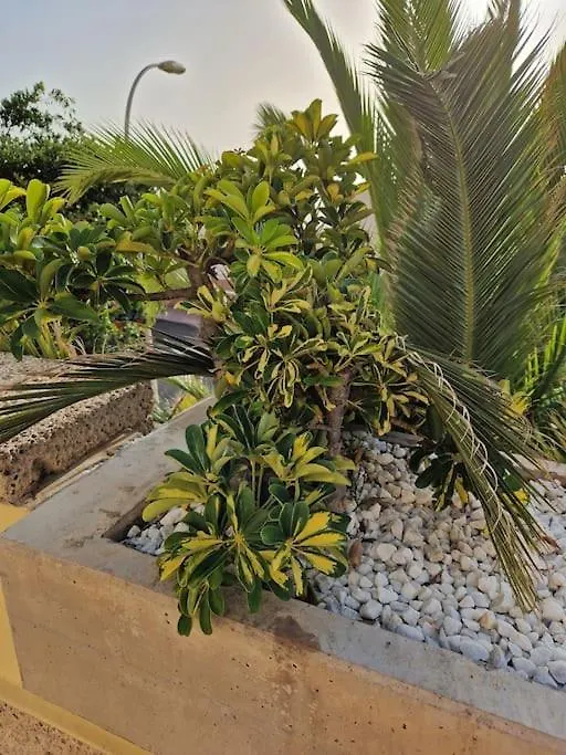 Golden Sunset Ocean View Apartment Costa Adeje