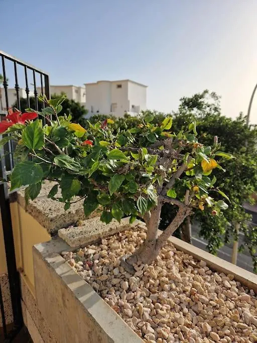 Golden Sunset Ocean View Apartment Costa Adeje